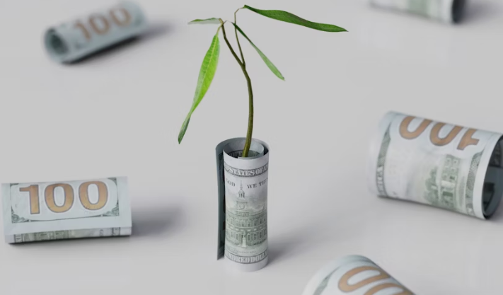 International Investment Opportunities: Sectors to Watch This Year